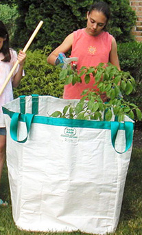 Photo: Lawn Bagg 10 Cubic Foot